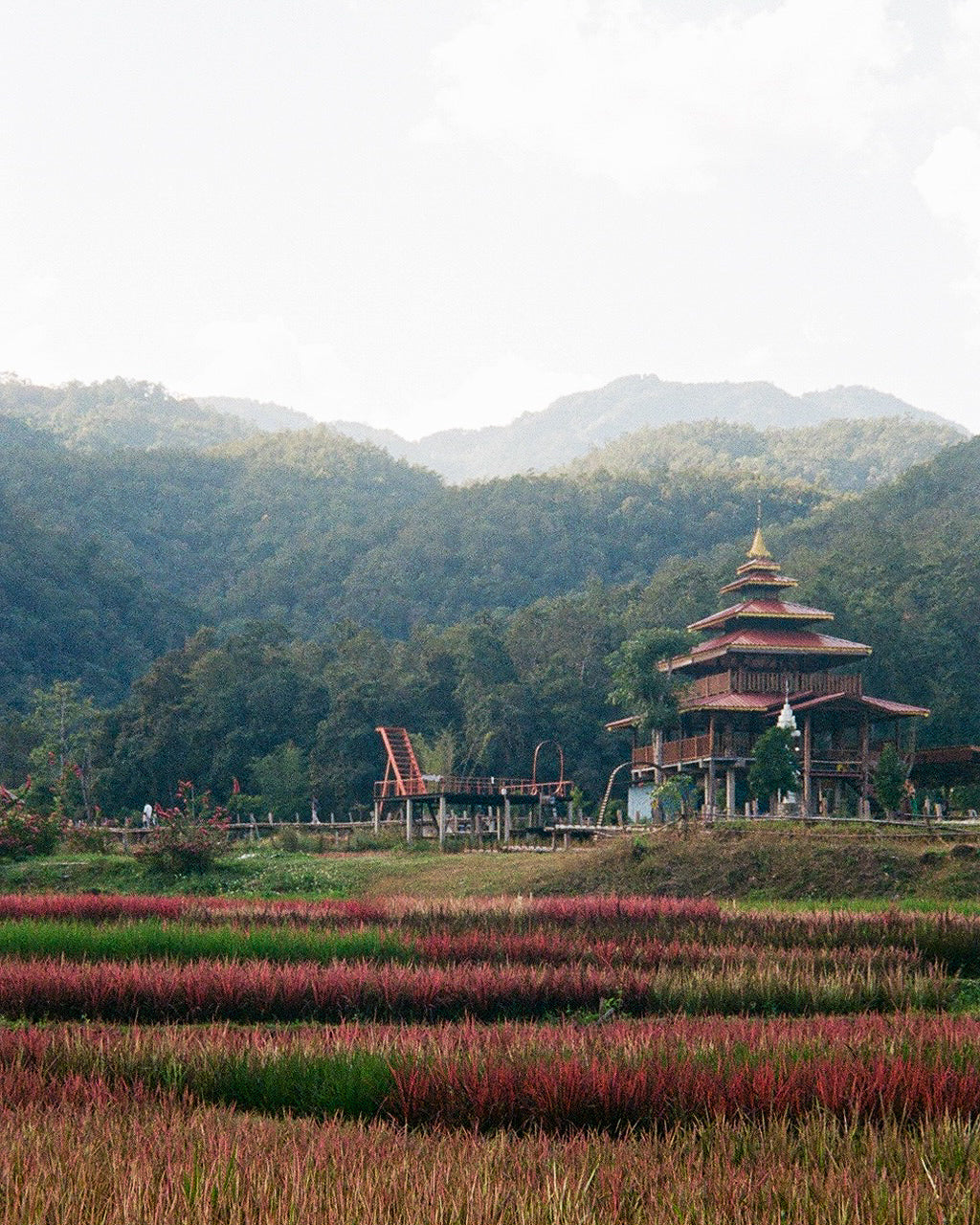 Rice Field Temple