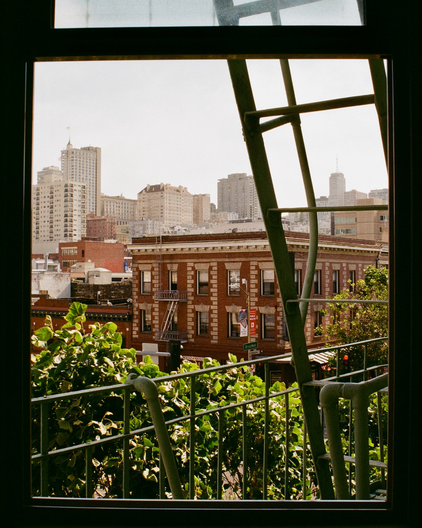 San Fran Window