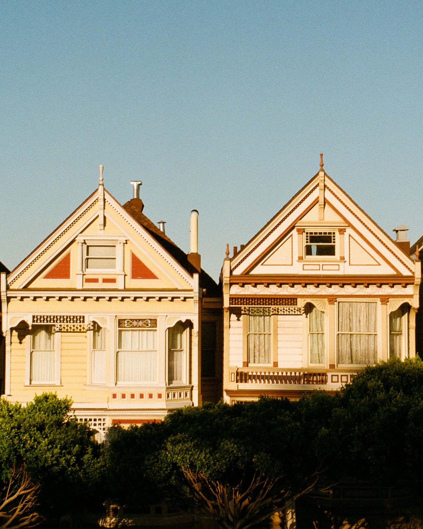 Painted Ladies