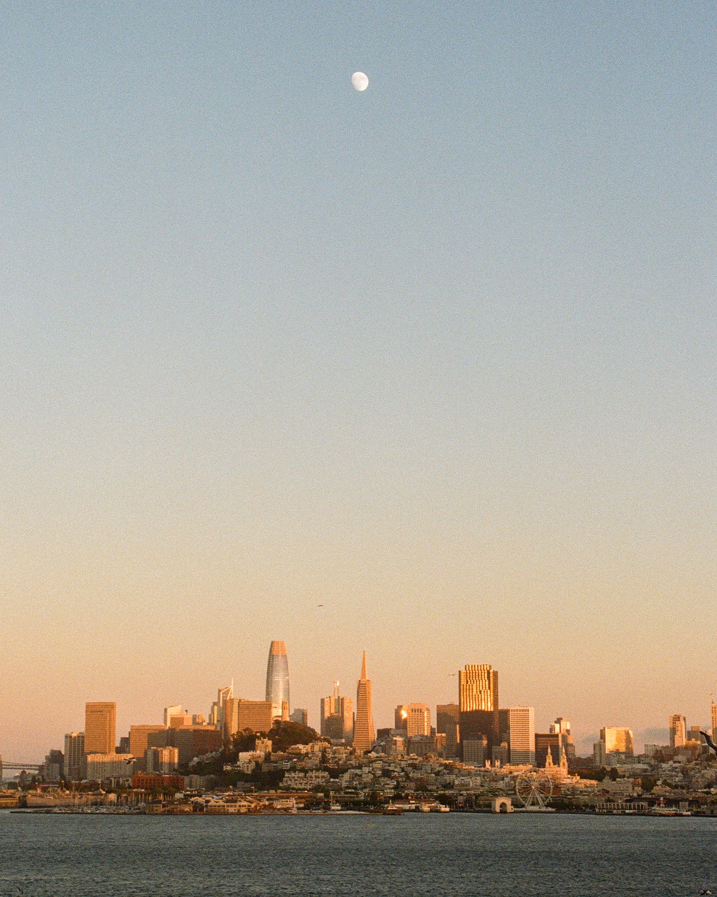 SF Under the Moon