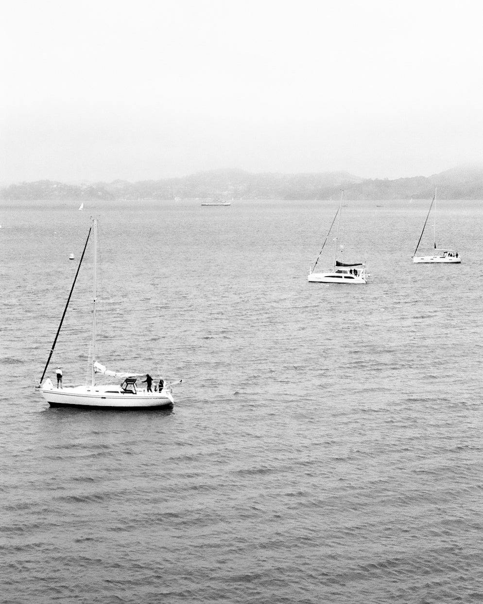 Sailboats