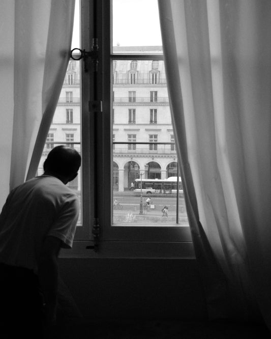 Louvre Window